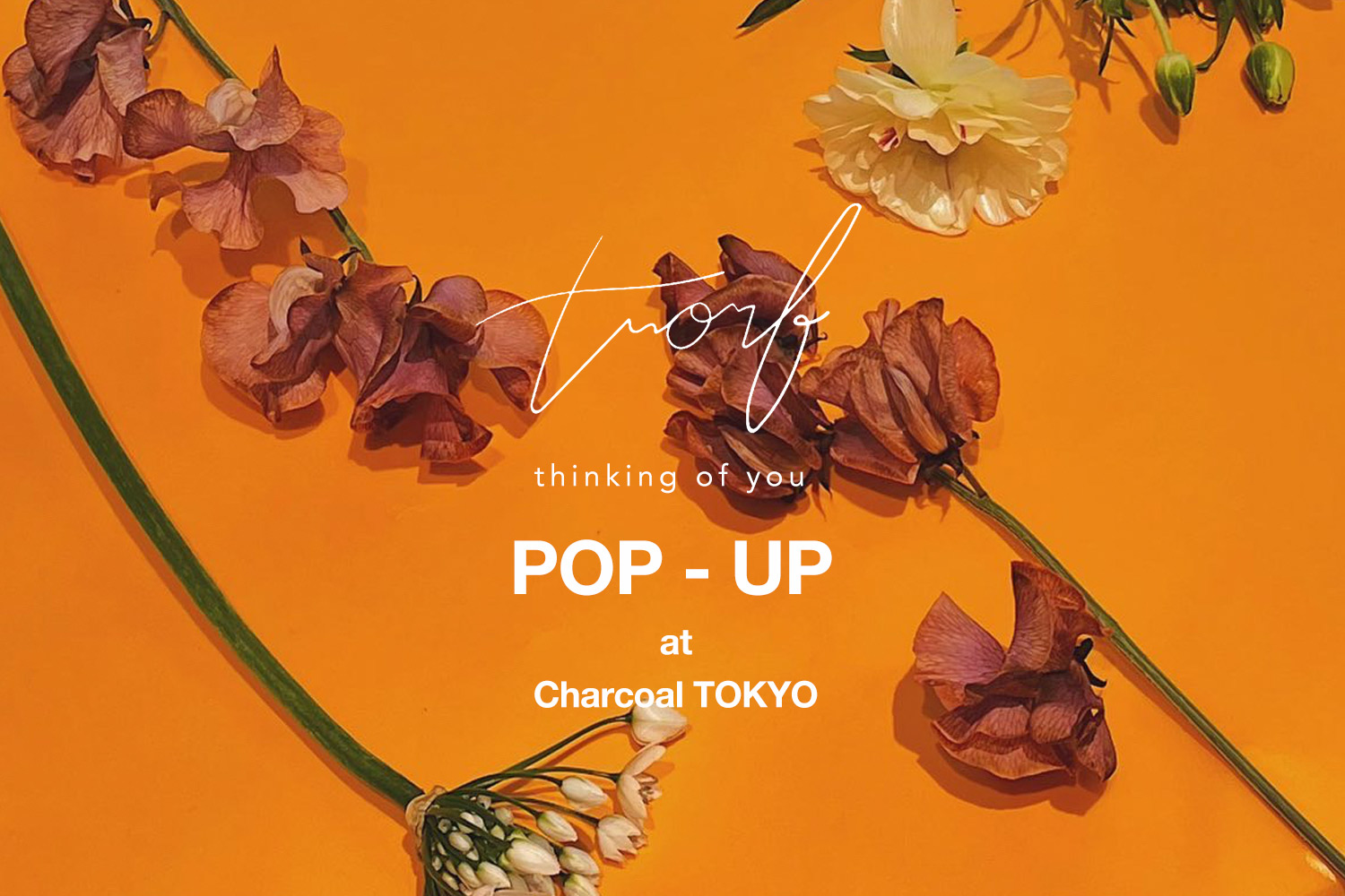〈trorf〉 Pop-Up開催のお知らせ