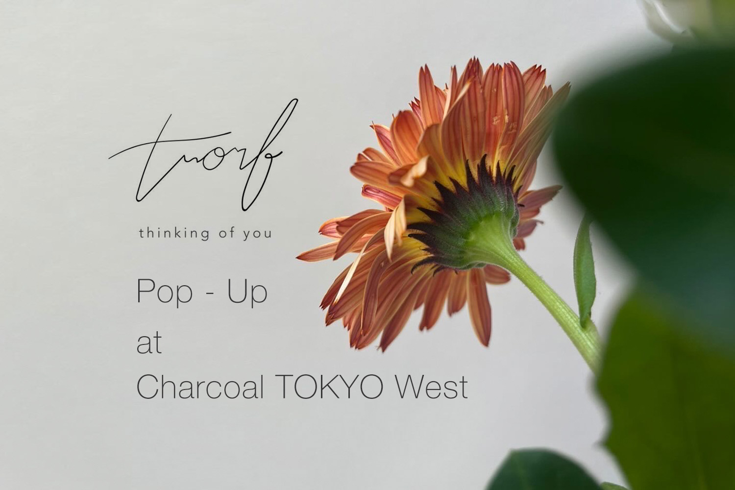 〈trorf〉Pop-Up開催のお知らせ
