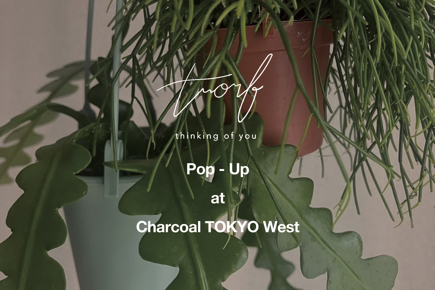 〈trorf〉Pop-Up開催のお知らせ