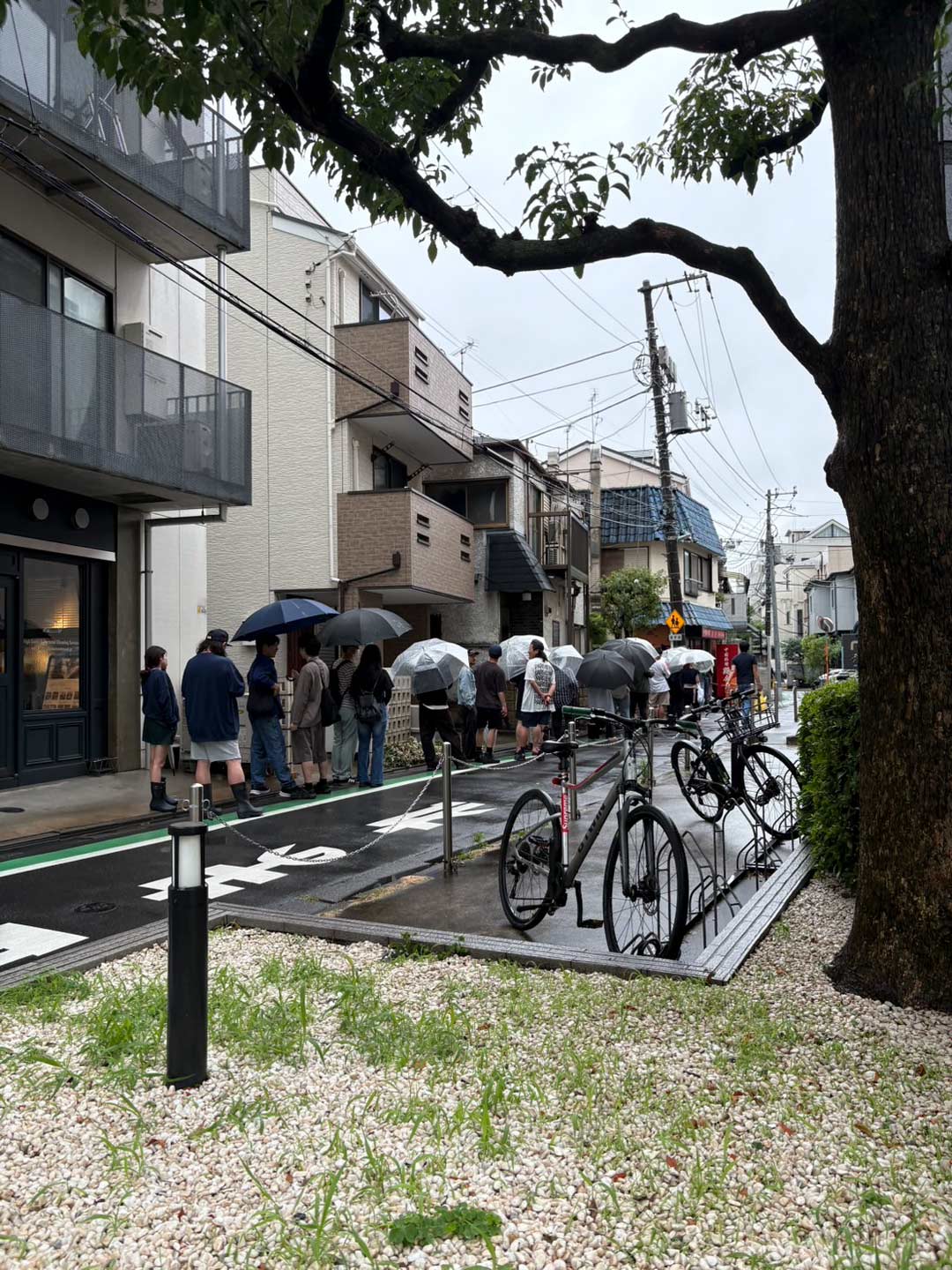 『台風、チャンス、えー…』